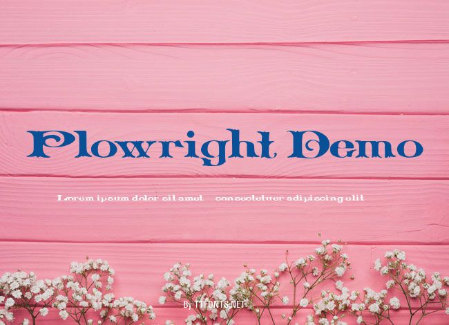 Plowright Demo example